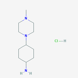 molecular formula C11H24ClN3 B11732379 4-(4-Methyl-1-piperazinyl)cyclohexanamine hydrochloride 