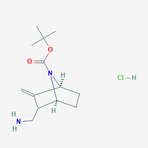 tert-butyl (1S,4S)-2-(aminomethyl)-3-methylidene-7-azabicyclo[2.2.1]heptane-7-carboxylate hydrochloride