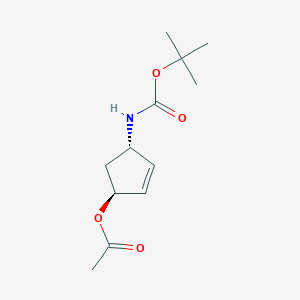 molecular formula C12H19NO4 B11733626 (1S,4S)-4-{[(tert-butoxy)carbonyl]amino}cyclopent-2-en-1-yl acetate 