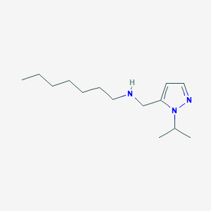 molecular formula C14H27N3 B11733730 heptyl({[1-(propan-2-yl)-1H-pyrazol-5-yl]methyl})amine 