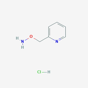 molecular formula C6H9ClN2O B11733779 o-(2-Pyridylmethyl)hydroxylamine hydrochloride 