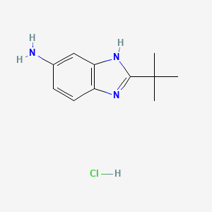 2-tert-butyl-1H-1,3-benzodiazol-6-amine hydrochloride