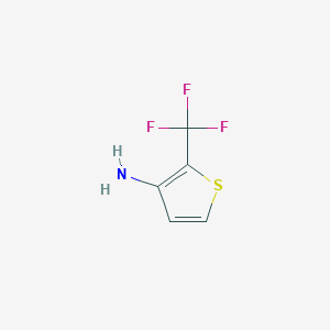 molecular formula C5H4F3NS B11735190 2-(Trifluoromethyl)thiophen-3-amine 