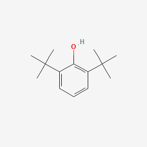 B1173560 2,6-DI-Tert-butylphenol CAS No. 19126-15-9