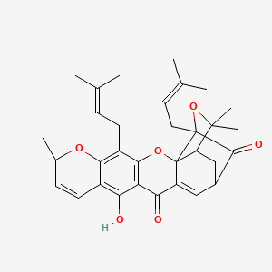 molecular formula C33H38O6 B1173718 Deoxymorellin CAS No. 1064-34-2