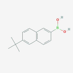 molecular formula C14H17BO2 B11742239 6-Tert-butylnaphthalen-2-ylboronic acid 