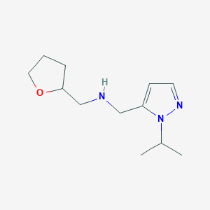 molecular formula C12H21N3O B11743079 [(oxolan-2-yl)methyl]({[1-(propan-2-yl)-1H-pyrazol-5-yl]methyl})amine 