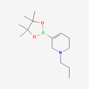 molecular formula C14H26BNO2 B11743500 1-Propyl-5-(4,4,5,5-tetramethyl-1,3,2-dioxaborolan-2-YL)-1,2,3,6-tetrahydropyridine 