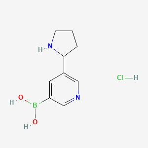 molecular formula C9H14BClN2O2 B11744906 [5-(Pyrrolidin-2-yl)pyridin-3-yl]boronic acid hydrochloride 