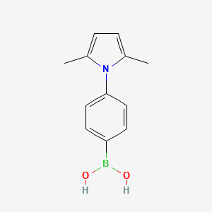 molecular formula C12H14BNO2 B11745293 [4-(2,5-dimethyl-1H-pyrrol-1-yl)phenyl]boronic acid 