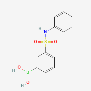 molecular formula C12H12BNO4S B11746446 (3-(N-Phenylsulfamoyl)phenyl)boronic acid 