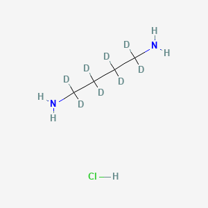 molecular formula C4H13ClN2 B11748393 1,1,2,2,3,3,4,4-Octadeuteriobutane-1,4-diamine;hydrochloride 