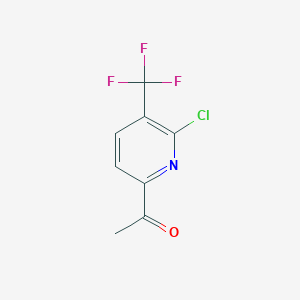 molecular formula C8H5ClF3NO B11748513 1-(6-Chloro-5-(trifluoromethyl)pyridin-2-yl)ethanone 