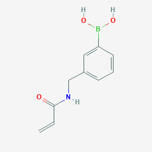 molecular formula C10H12BNO3 B11748554 (3-(Acrylamidomethyl)phenyl)boronic acid 