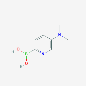 molecular formula C7H11BN2O2 B11748869 [5-(Dimethylamino)pyridin-2-yl]boronic acid 