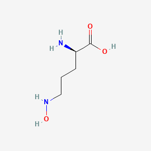 molecular formula C5H12N2O3 B11749332 (2R)-2-amino-5-(hydroxyamino)pentanoic acid 