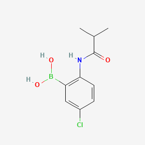 molecular formula C10H13BClNO3 B11749773 [5-Chloro-2-(2-methylpropanamido)phenyl]boronic acid 