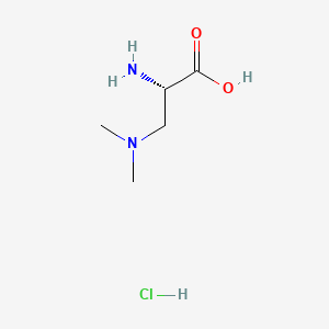 molecular formula C5H13ClN2O2 B11749792 (2S)-2-amino-3-(dimethylamino)propanoic acid hydrochloride 