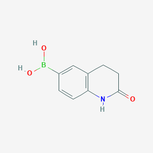 molecular formula C9H10BNO3 B11749951 (2-Oxo-1,2,3,4-tetrahydroquinolin-6-yl)boronic acid 