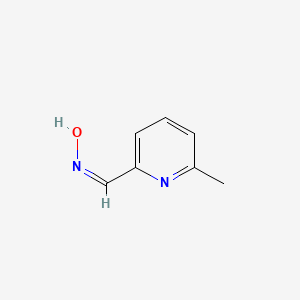 molecular formula C7H8N2O B11750945 (E)-6-methylpicolinaldehyde oxime 