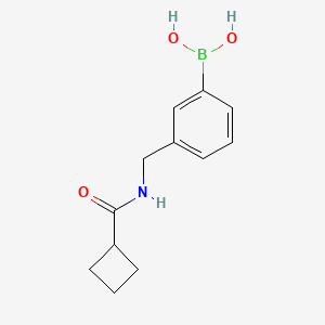 (3-(Cyclobutanecarboxamidomethyl)phenyl)boronic acid