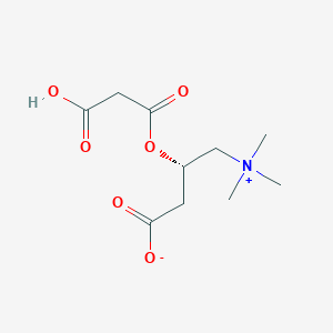 (3S)-3-[(2-carboxyacetyl)oxy]-4-(trimethylazaniumyl)butanoate