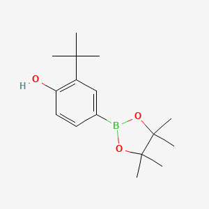 molecular formula C16H25BO3 B11753078 2-Tert-butyl-4-(4,4,5,5-tetramethyl-1,3,2-dioxaborolan-2-YL)phenol 