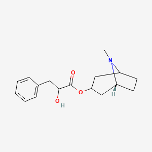 molecular formula C17H23NO3 B11753280 (1R)-8-methyl-8-azabicyclo[3.2.1]octan-3-yl 2-hydroxy-3-phenylpropanoate 