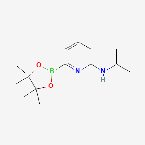 N-isopropyl-6-(tetramethyl-1,3,2-dioxaborolan-2-yl)pyridin-2-amine