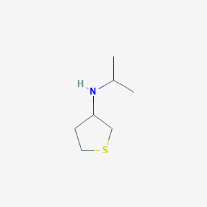 N-Isopropyltetrahydrothiophen-3-amine