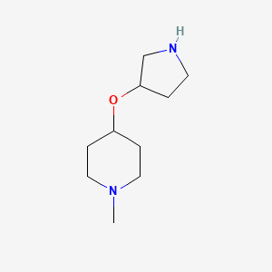 molecular formula C10H20N2O B11755263 1-Methyl-4-(pyrrolidin-3-yloxy)piperidine 