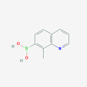 molecular formula C10H10BNO2 B11755292 (8-Methylquinolin-7-yl)boronic acid 