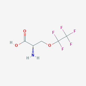 molecular formula C5H6F5NO3 B11755499 (2S)-2-amino-3-(1,1,2,2,2-pentafluoroethoxy)propanoic acid 