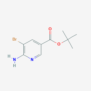 molecular formula C10H13BrN2O2 B11755902 Tert-butyl 6-amino-5-bromonicotinate 