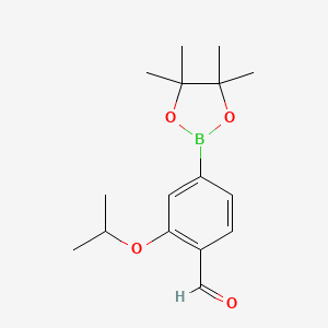 molecular formula C16H23BO4 B11756611 2-(1-Methylethoxy)-4-(4,4,5,5-tetramethyl-1,3,2-dioxaborolan-2-yl)-benzaldehyde 