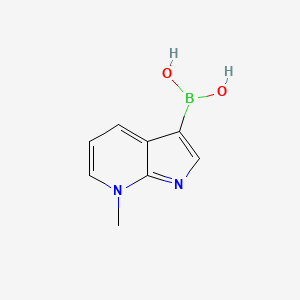 molecular formula C8H9BN2O2 B11756960 (7-Methyl-7H-pyrrolo[2,3-b]pyridin-3-yl)boronic acid 