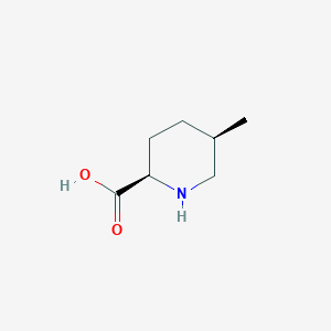 molecular formula C7H13NO2 B11757336 (2R,5R)-5-Methylpiperidine-2-carboxylic acid 