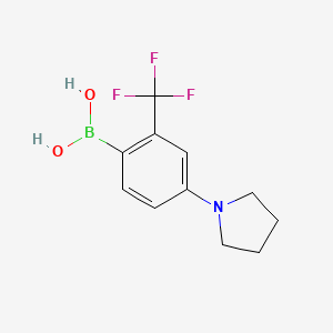 2-Trifluoromethyl-4-(pyrrolidino)phenylboronic acid