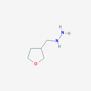 molecular formula C5H12N2O B11758348 (Tetrahydro-furan-3-ylmethyl)-hydrazine 