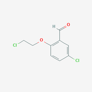 molecular formula C9H8Cl2O2 B11758542 5-Chloro-2-(2-chloroethoxy)benzaldehyde 