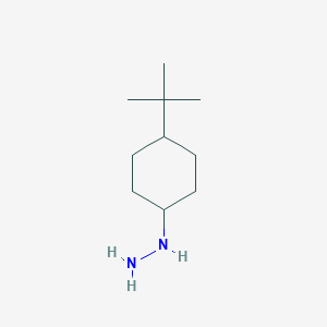 molecular formula C10H22N2 B11759264 (4-Tert-butylcyclohexyl)hydrazine CAS No. 500689-73-6