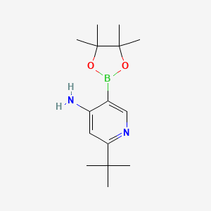 2-(tert-Butyl)-5-(4,4,5,5-tetramethyl-1,3,2-dioxaborolan-2-yl)pyridin-4-amine