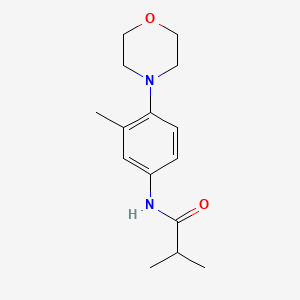 2-methyl-N-[3-methyl-4-(4-morpholinyl)phenyl]propanamide