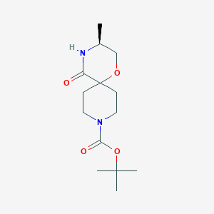 molecular formula C14H24N2O4 B11764106 tert-Butyl (S)-3-methyl-5-oxo-1-oxa-4,9-diazaspiro[5.5]undecane-9-carboxylate 