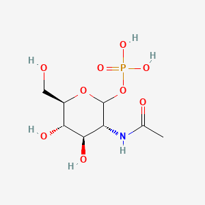 N-Acetylglucosamine-1-phosphate