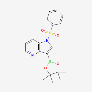 1-(Phenylsulfonyl)-3-(4,4,5,5-tetramethyl-1,3,2-dioxaborolan-2-yl)-1H-pyrrolo[3,2-b]pyridine