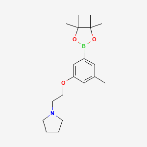 molecular formula C19H30BNO3 B11782816 1-{2-[3-Methyl-5-(tetramethyl-1,3,2-dioxaborolan-2-yl)phenoxy]ethyl}pyrrolidine 