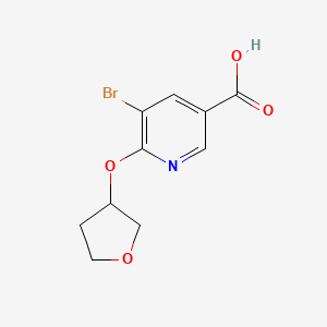 molecular formula C10H10BrNO4 B11785147 5-Bromo-6-((tetrahydrofuran-3-yl)oxy)nicotinic acid 