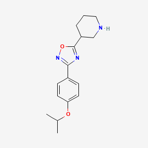 molecular formula C16H21N3O2 B11788157 3-(4-Isopropoxyphenyl)-5-(piperidin-3-yl)-1,2,4-oxadiazole 