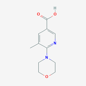 molecular formula C11H14N2O3 B11791669 5-Methyl-6-morpholinonicotinic acid 